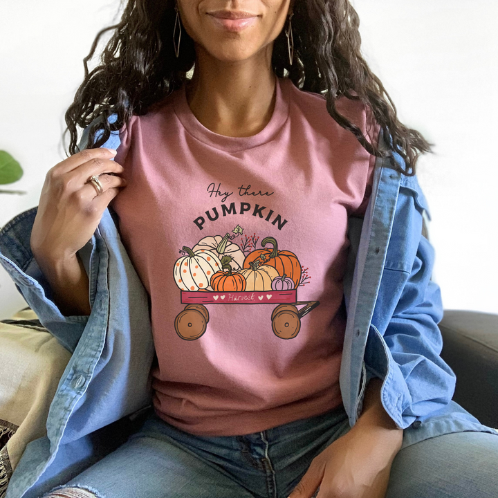 Hey There Pumpkin Shirt, Fall T Shirt, Thanksgiving T Shirt, Fall Shirts, Autumn Shirt SheCustomDesigns
